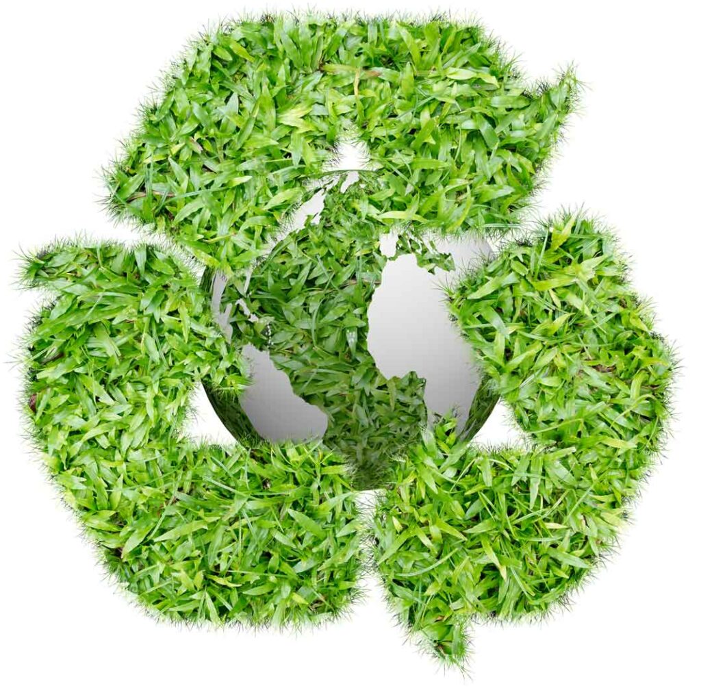 Sustainable Packaging Environmental