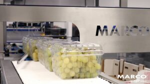 Marco TrayMaster Grapes