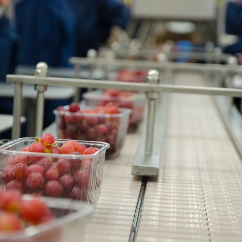 71803557 148808049821673 4679408193598098314 N