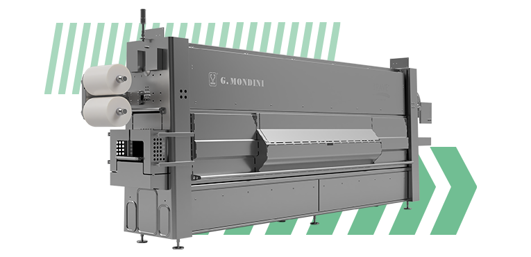 Mondini streamline system